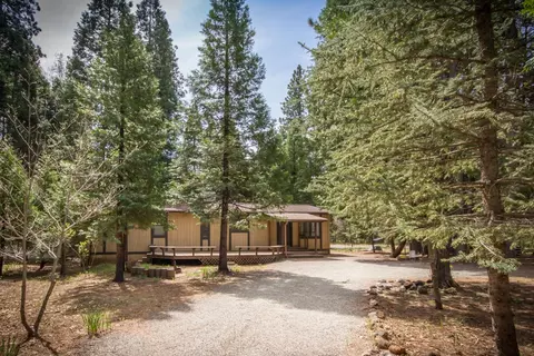 33037 Aleen Rd, Shingletown, CA 96088 photo 13