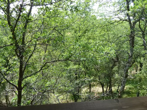 3879 Andes Dr, Redding, CA 96001 photo 36