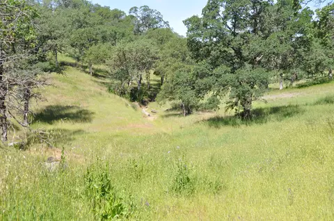 15875 Skyline Dr, Red Bluff, CA 96080 photo 19