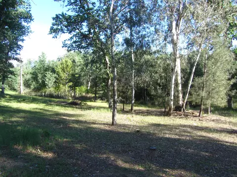 12583 Los Osos, Redding, CA 96003 photo 11