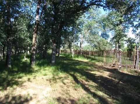 12583 Los Osos, Redding, CA 96003 photo 8