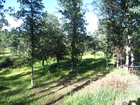 12583 Los Osos, Redding, CA 96003 photo 7