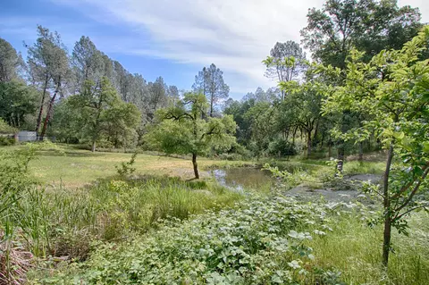 10161 Victoria Dr, Redding, CA 96001 photo 20