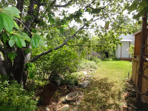 1019 Yogi Ct, Redding, CA 96003 photo 36