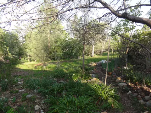 1019 Yogi Ct, Redding, CA 96003 photo 32