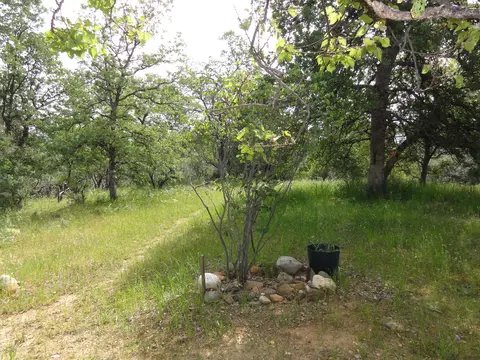 1019 Yogi Ct, Redding, CA 96003 photo 31