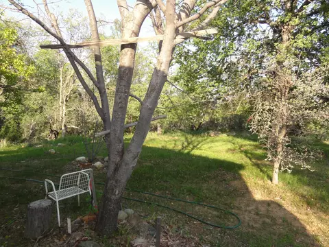 1019 Yogi Ct, Redding, CA 96003 photo 35