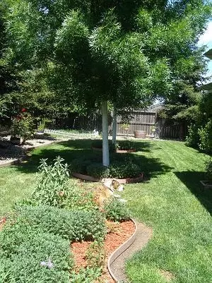 3974 Meadow Oak Way, Redding, CA 96002 photo 18