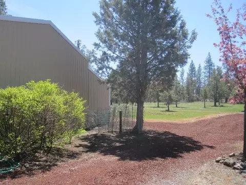 23817 Cassel Fall River Rd, Fall River Mills, CA 96028 photo 39