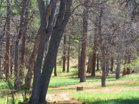23817 Cassel Fall River Rd, Fall River Mills, CA 96028 photo 51
