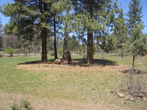23817 Cassel Fall River Rd, Fall River Mills, CA 96028 photo 46
