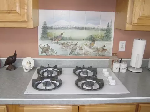 23817 Cassel Fall River Rd, Fall River Mills, CA 96028 photo 26
