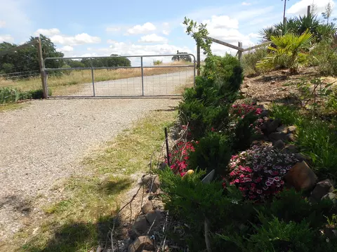 7552 Sprig Way, Millville, CA 96062 photo 12