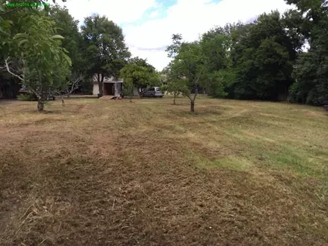 12078 Highway 99e, Red Bluff, CA 96080 photo 19