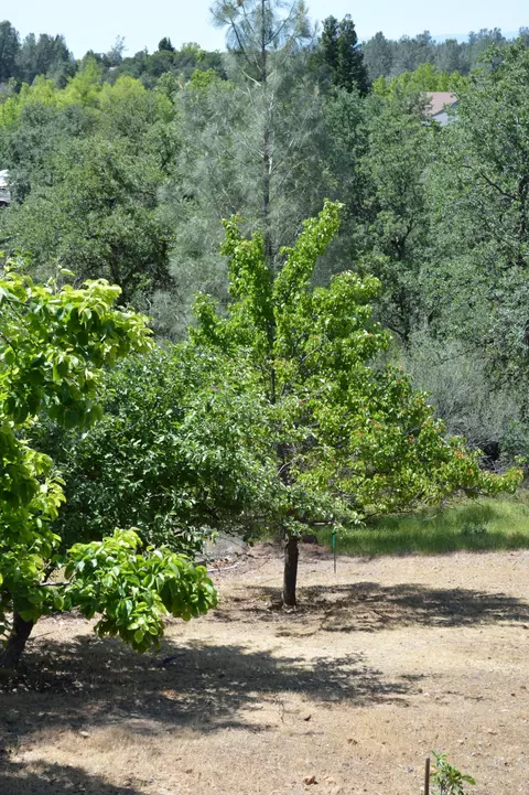 4177 Villa Dr, Redding, CA 96001 photo 17