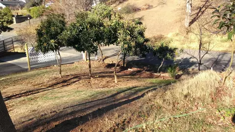 14847 Marin, Redding, CA 96003 photo 2