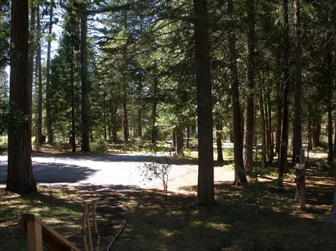 7875 Hidden Meadows Rd, Shingletown, CA 96088 photo 48