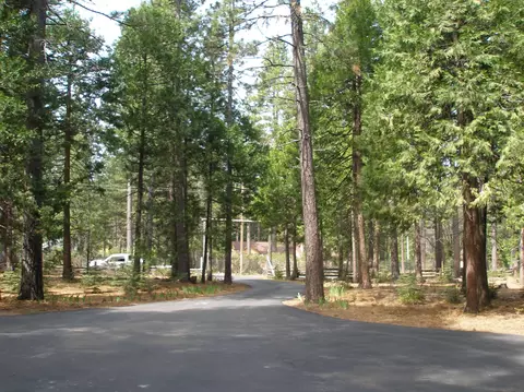 7875 Hidden Meadows Rd, Shingletown, CA 96088 photo 52