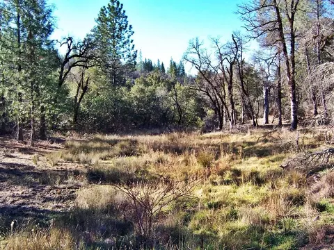 15803 Kaweah Rd, Oak Run, CA 96069 photo 29