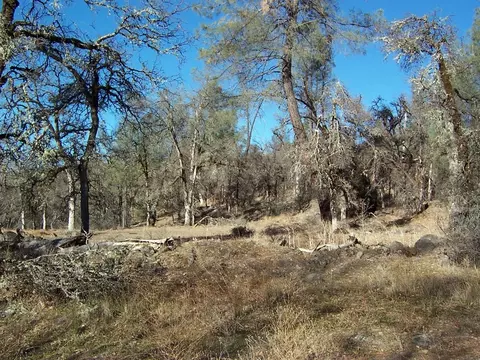 15803 Kaweah Rd, Oak Run, CA 96069 photo 11