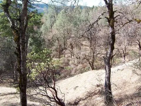 15803 Kaweah Rd, Oak Run, CA 96069 photo 32