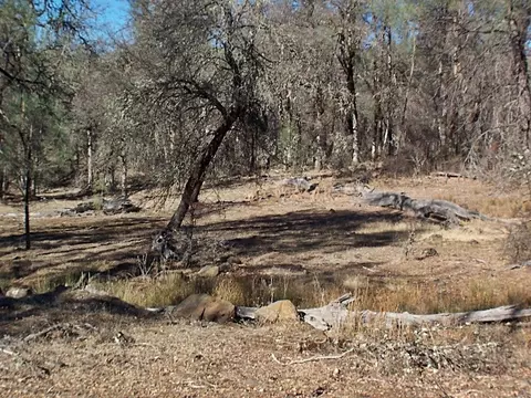 15803 Kaweah Rd, Oak Run, CA 96069 photo 22