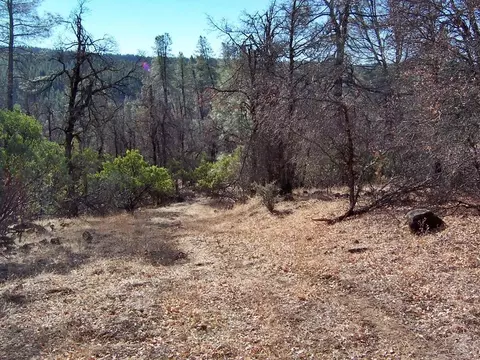 15803 Kaweah Rd, Oak Run, CA 96069 photo 31