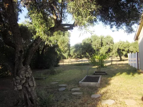 5551 Olive St, Anderson, CA 96007 photo 11