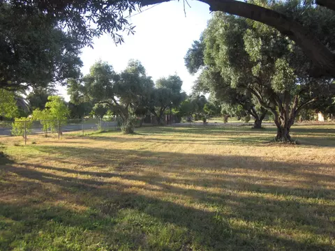 5551 Olive St, Anderson, CA 96007 photo 3