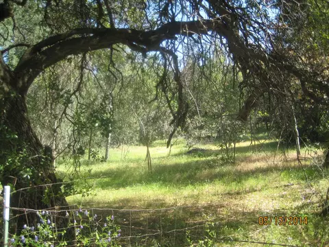 19942 Poco Vista Ln, Redding, CA 96003 photo 47