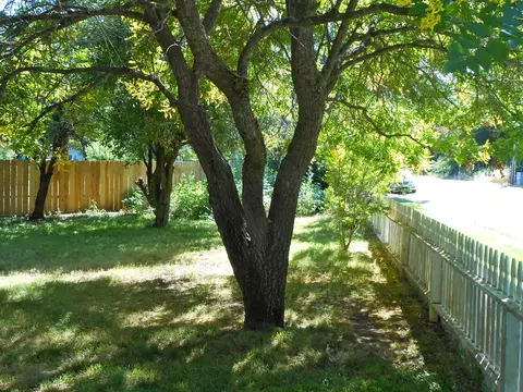 2885 Sacramento Dr, Redding, CA 96001 photo 34
