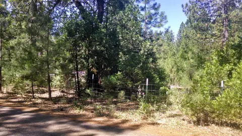 30495 Whitmore Rd, Whitmore, CA 96096 photo 10