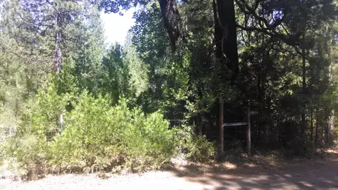 30495 Whitmore Rd, Whitmore, CA 96096 photo 11
