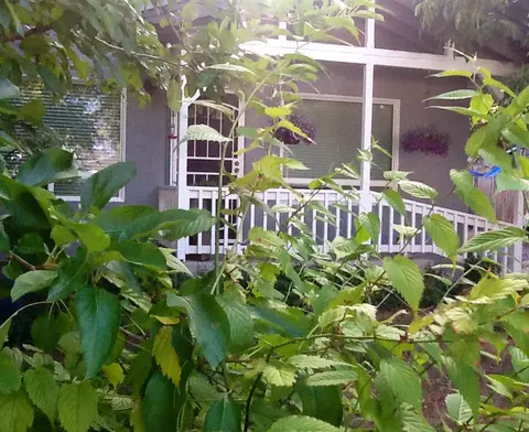 1279 Harpole Rd, Redding, CA 96002 photo 29