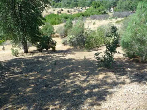 1556 Brinn Dr, Redding, CA 96001 photo 12
