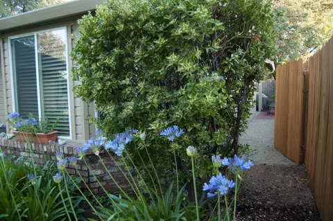 1833 Trumpet Dr, Redding, CA 96003 photo 7