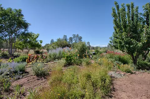 20694 E State Highway 299, Redding, CA 96003 photo 10