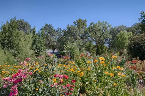 20694 E State Highway 299, Redding, CA 96003 photo 13
