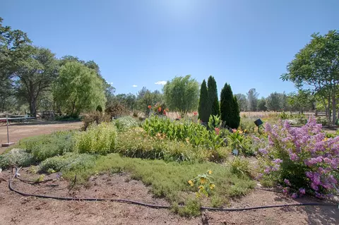 20694 E State Highway 299, Redding, CA 96003 photo 9