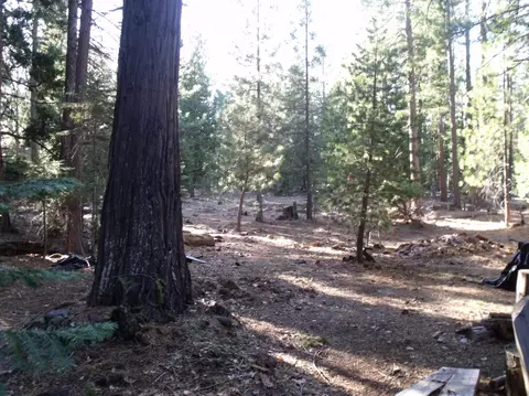 35303 Ezra Ln, Shingletown, CA 96088 photo 24