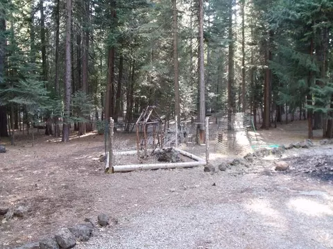 35303 Ezra Ln, Shingletown, CA 96088 photo 22
