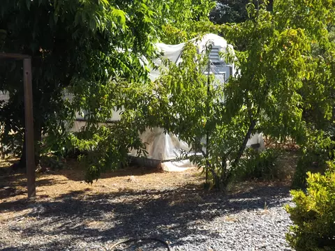 2345 Beverly Dr, Redding, CA 96002 photo 20