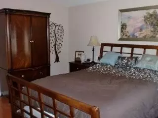 29540 State Highway 44, Shingletown, CA 96088 photo 17