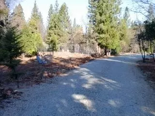 29540 State Highway 44, Shingletown, CA 96088 photo 4