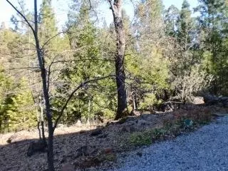 29540 State Highway 44, Shingletown, CA 96088 photo 8