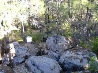 29540 State Highway 44, Shingletown, CA 96088 photo 11
