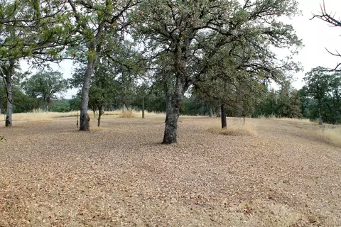 35 La Colina, Anderson, CA 96007 photo 34