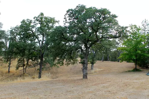 35 La Colina, Anderson, CA 96007 photo 29