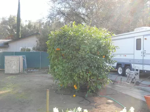2299 Rancho Rd, Redding, CA 96002 photo 7