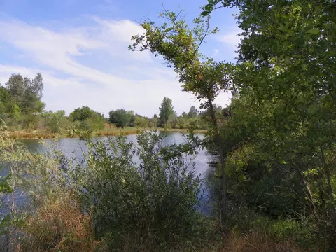 7788 Pit Rd, Redding, CA 96001 photo 3